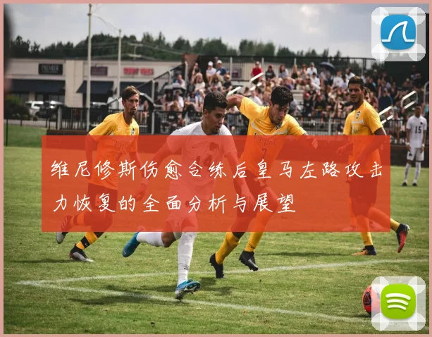维尼修斯伤愈合练后皇马左路攻击力恢复的全面分析与展望