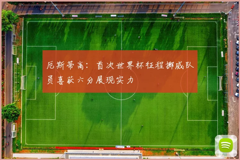 厄斯蒂高：首次世界杯征程挪威队员喜获六分展现实力