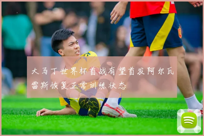 大马丁世界杯首战有望首发阿尔瓦雷斯恢复正常训练状态